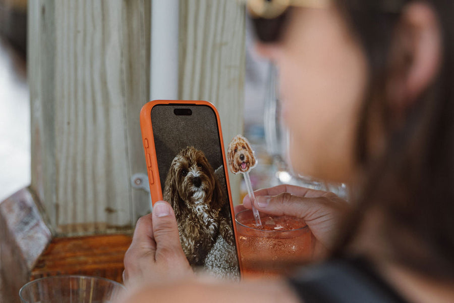 a women looking at her phone at a wedding with a dog stirrer