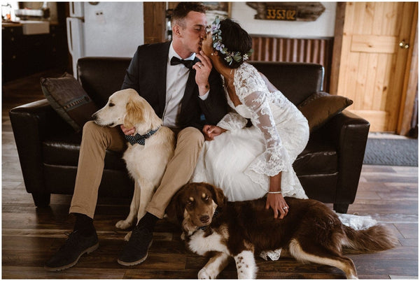 Your Dog as a Wedding Witness: Symbolic Ways to Include Them
