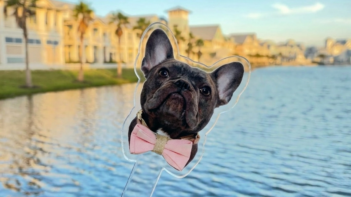 Dog-shaped stirrer with a dog's face held by a person against a scenic background with water and buildings.