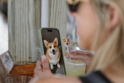 A person holds a smartphone showing a corgi photo next to a clear glass with a decorative corgi-shaped straw in a real outdoor setting.